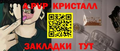 крисы Аргун