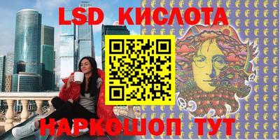 крисы Абакан