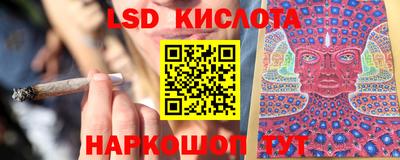 крисы Аргун