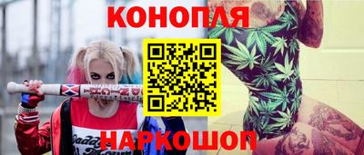 крисы Аргун