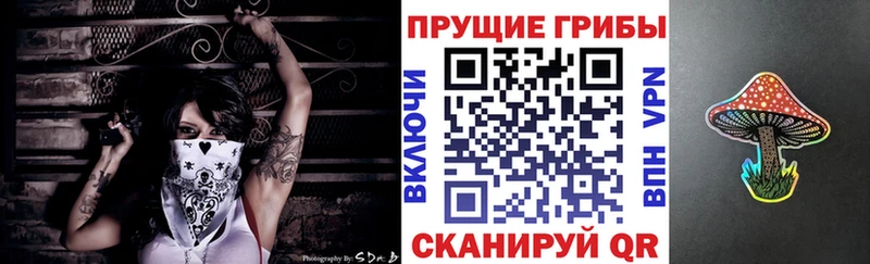 где купить наркоту  Асбест  Псилоцибиновые грибы GOLDEN TEACHER 