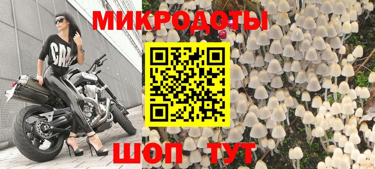 Псилоцибиновые грибы Psilocybine cubensis Асбест