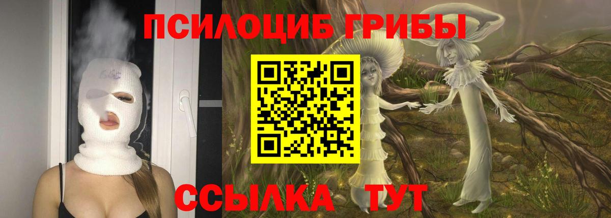 Галлюциногенные грибы GOLDEN TEACHER  Вход с VPN  Асбест 